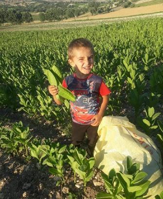 Süt taşıyan kamyonetin çarptığı Miraç hayatını kaybetti