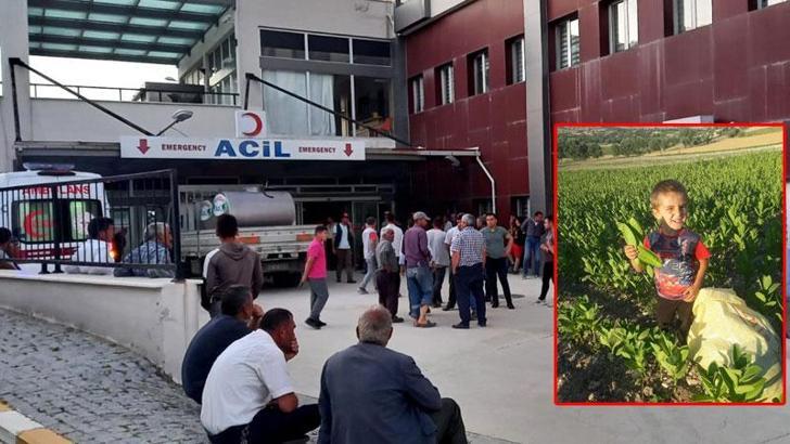 Süt taşıyan kamyonetin çarptığı Miraç hayatını kaybetti