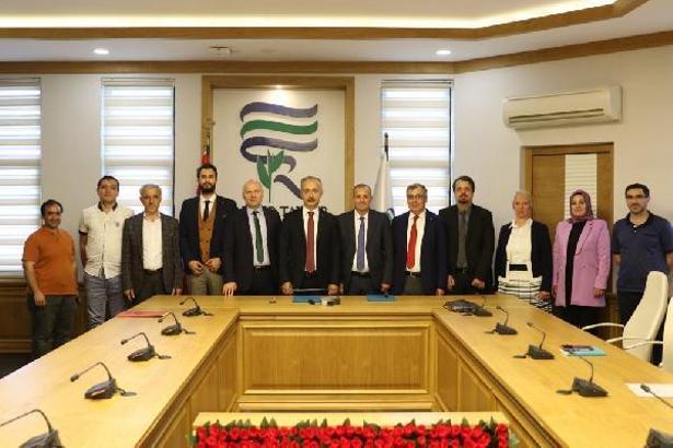 Beyaz çaydan yara ve yanık kremi