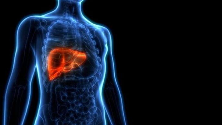 9 Haziran Uluslararası NASH Günü'nde karaciğer yağlanması hakkında önemli uyarılar