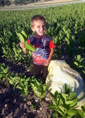 Süt toplama kamyonetinin çarptığı Miraç, son yolculuğuna uğurlandı