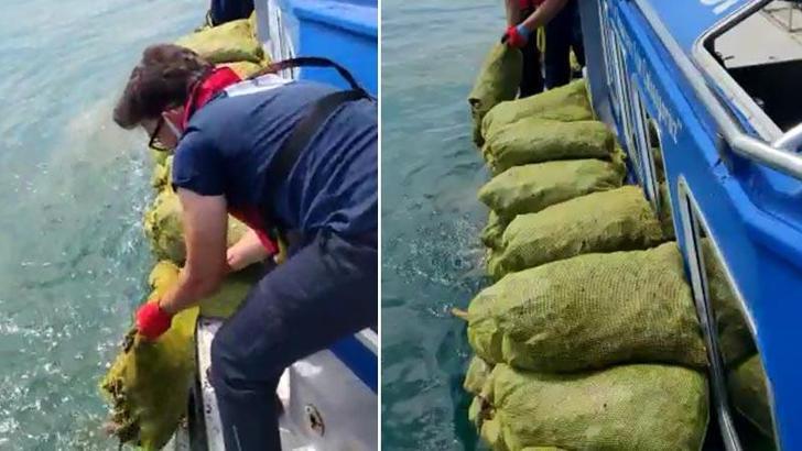 Kaçak avlanan 1,5 ton kara midyesi ele geçirildi