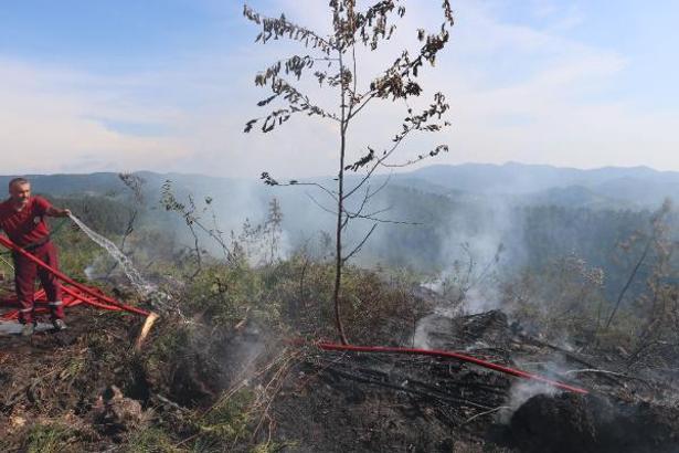 Zonguldak’ta ormanlık alanda yangın