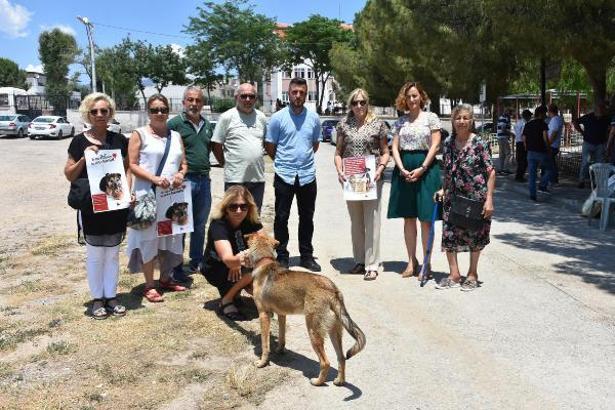 'Köpek' tartışmasında 3 kişinin öldürüldüğü sokakta can dostlarını beslediler