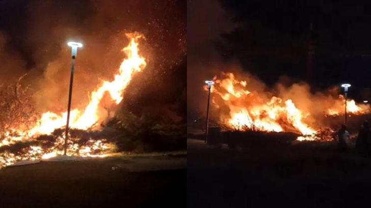 Ankara'da parkta çıkan yangın, paniğe neden oldu