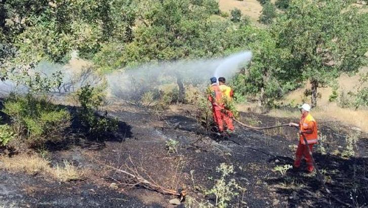 Bingöl'de çıkan orman yangını söndürüldü