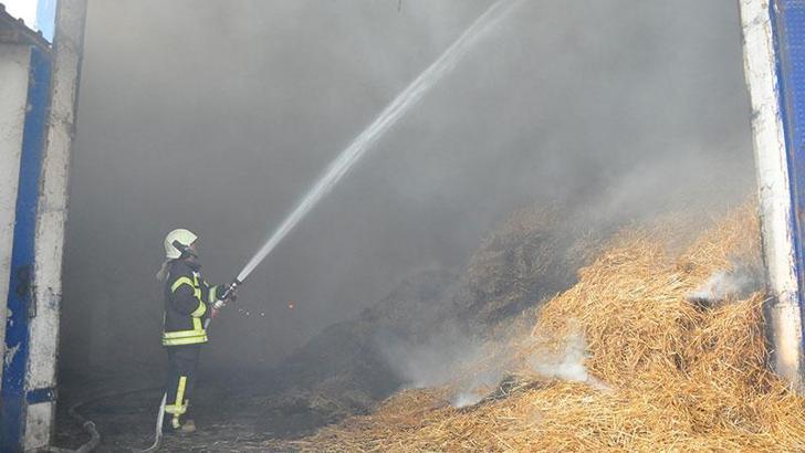 Manisa'da entegre tesiste çıkan yangında 350 ton saman küle döndü