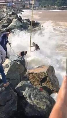 Kurbanlık boğa denize düştü, vinçle kurtarıldı