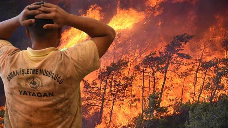 Marmaris'teki orman yangını, 4'üncü gününde