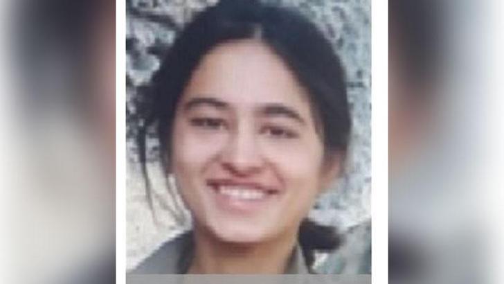 Siirt'te etkisiz hale getirilen 'Arin' kod adlı terörist, gri kategorideymiş