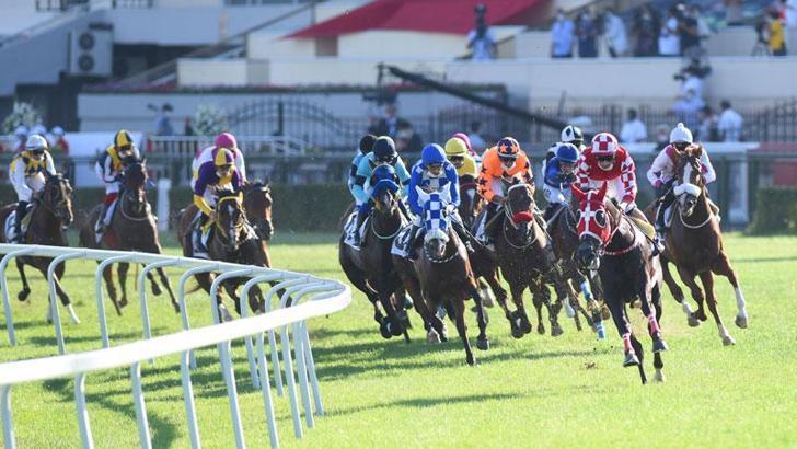 Gökhan Kocakaya ve Sadettin Boyraz, Gazi Koşusunda iddialı