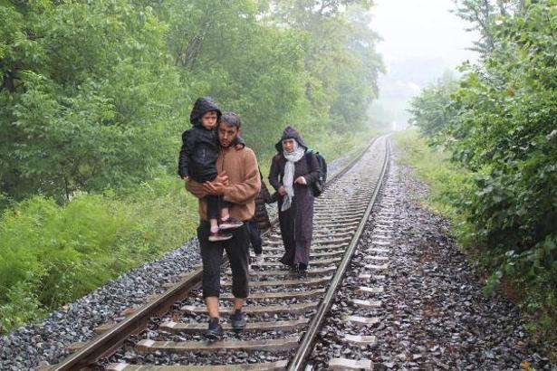 Zonguldak'ta sağanak; evler ve tarım alanları su altında kaldı (2)