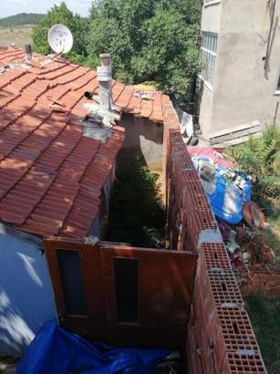 Evlerin bahçesini kenevir tarlasına çeviren 2 kişiye tutuklama