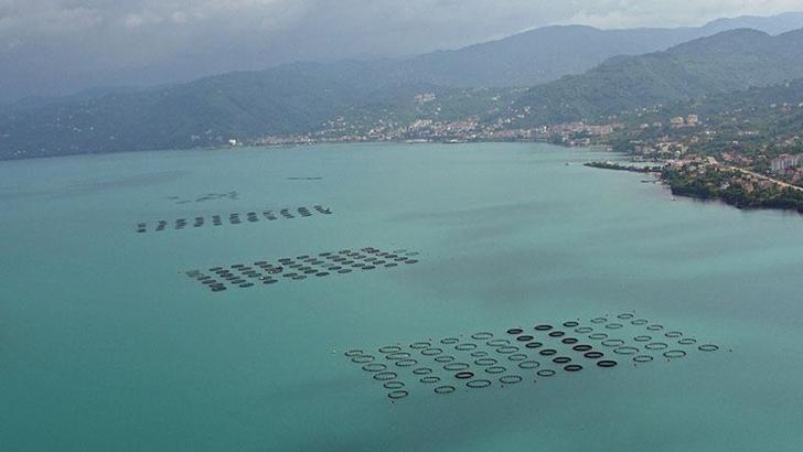 TÜDAV’dan 1 Temmuz Denizcilik ve Kabotaj Bayramı’nda önemli çağrı