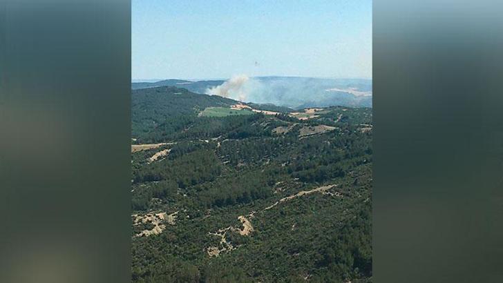 Çanakkale'de ormanlara giriş yasaklandı