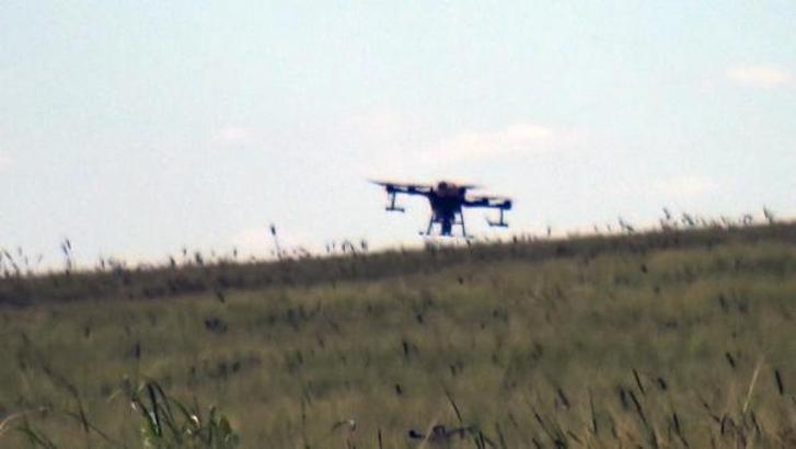 Derik’te çiftçiler havadan ilaçlamayla ürün kaybının önüne geçiyor