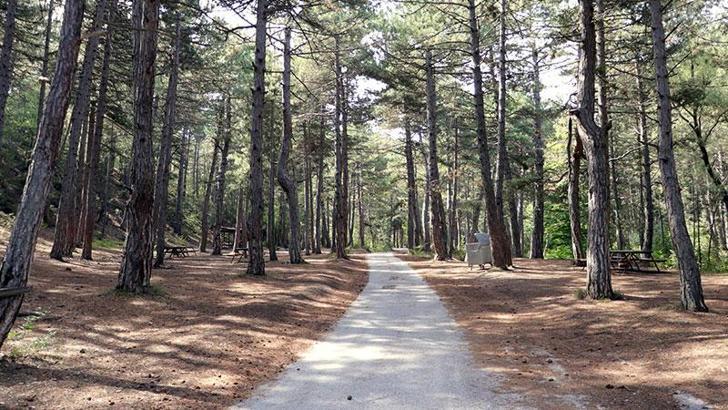 Eskişehir’de ormanlara giriş yasağı