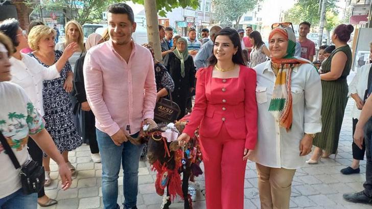 Altın takıp meyvelerle süslediği kurbanlık koçu, davul zurnayla nişanlısına götürdü