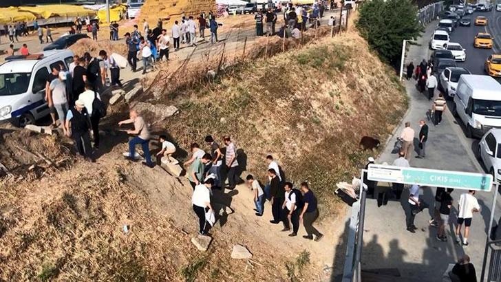 Avcılar’da tel örgüyü devirerek kurban kesim alanına gittiler