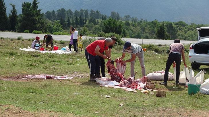 Uygunsuz koşullarda kurbanlıklarını kestiler