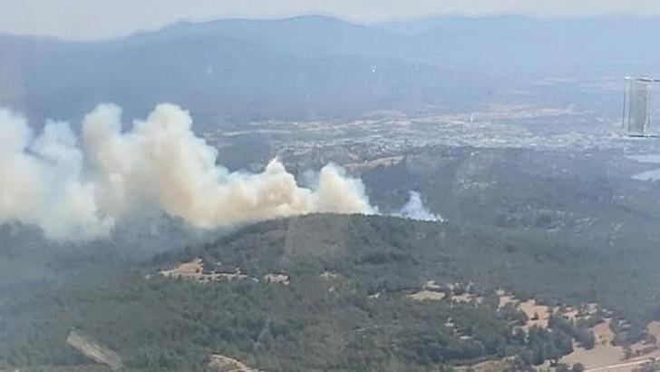 Bodrum'da orman ve makilik yangını