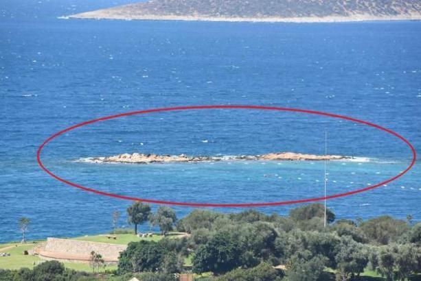 İş insanı babası ve annesinin öldüğü tekne kazasından 150 metre yüzerek kurtulmuş (2)