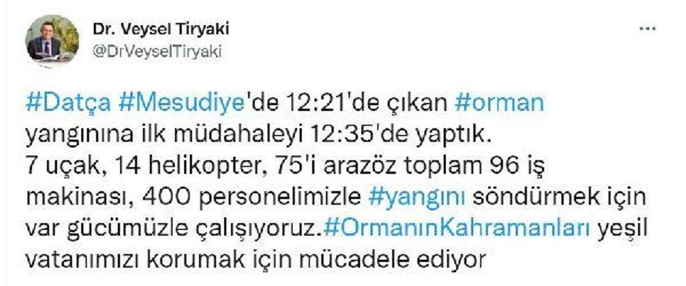 Datça'da orman yangını (3)