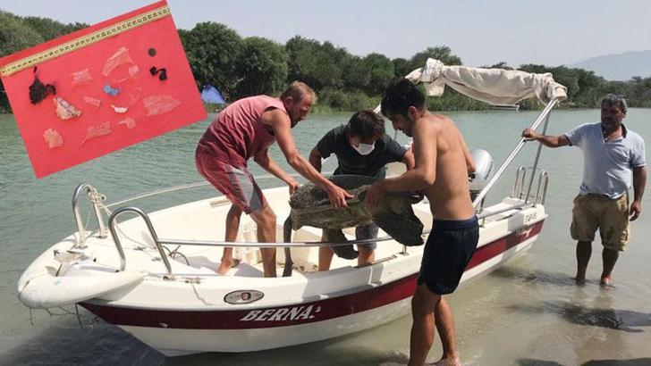 Plastik atıklar caretta carettaları öldürüyor