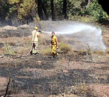 Manisa'da orman yangını; 10 dönüm alan zarar gördü/ Ek Fotoğraflar