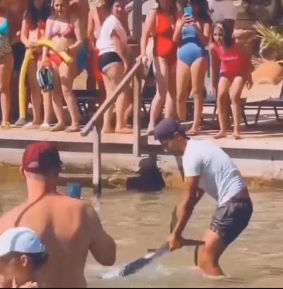 Akdeniz zarganasını tokatla sersemletip kuyruğundan yakaladı