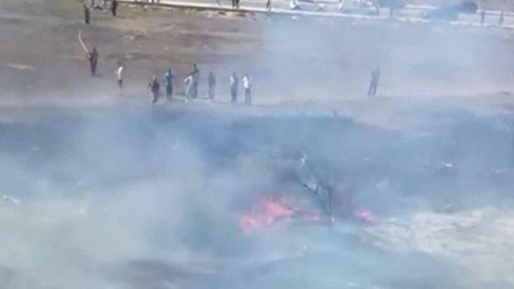 Pendik'te hurdacıların çıkardığı yangında 4 köpek öldü