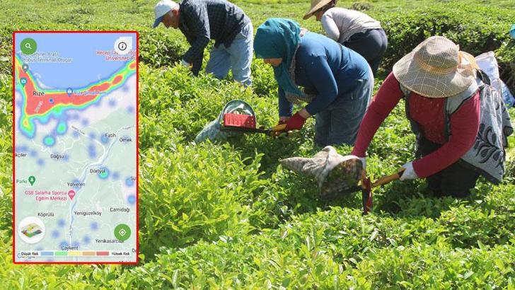 'Çay göçü' ile nüfusun 3’e katlandığı Rize’de hastanelerde Covid-19 hazırlığı