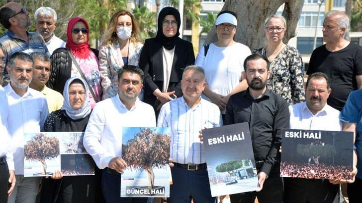 AK Parti'li Ercik'ten Mersin Büyükşehir Belediye yönetimine 'ağaç' tepkisi