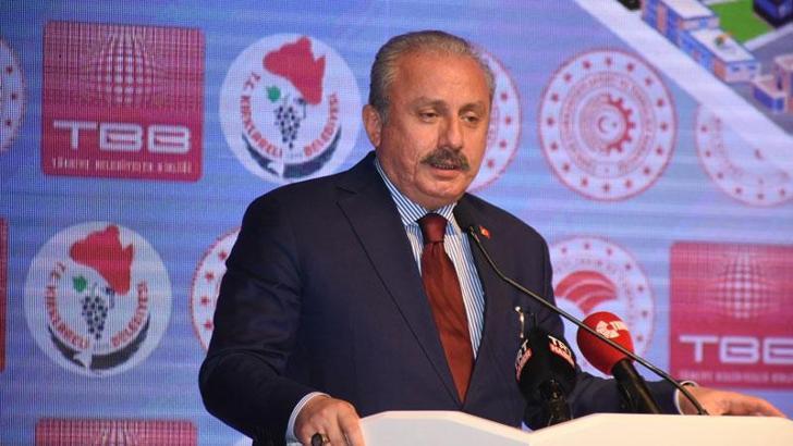 Şentop: Avrupa göçmenlere kapılarını kapattı, öldürmek dahil her türlü eylemi yaptı