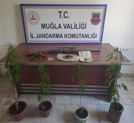 Jandarmadan Köyceğiz'de uyuşturucu operasyonu