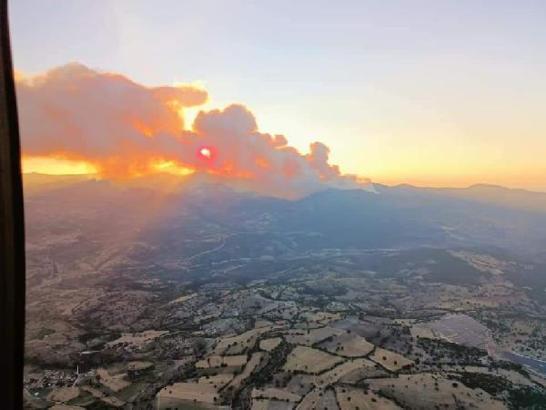 Kütahya'da orman yangını (2)
