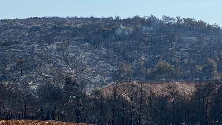 Manisa'daki orman yangını 13,5 saat sonra kontrol altında