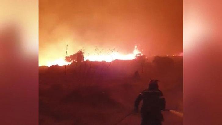 Yunanistan’da orman yangınları devam ediyor
