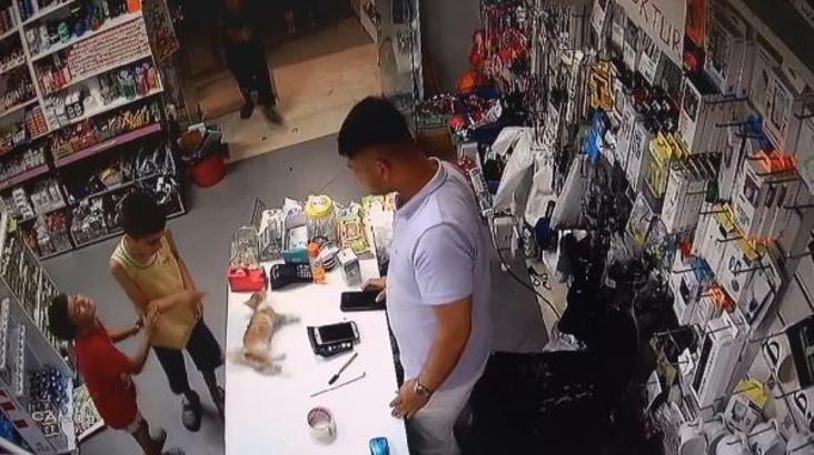 Kalp masajıyla hayata döndürülen yavru kedi öldü