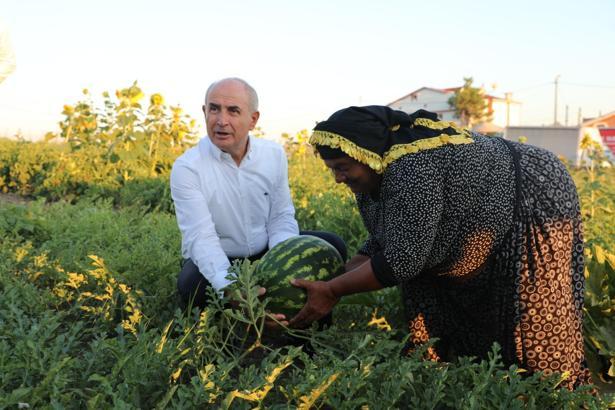 Büyükçekmece'de Roman vatandaşların sebze ve meyve ürettiği kent bostanı açıldı