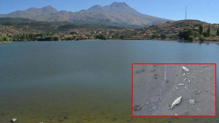 Balık ölümlerinin yaşandığı göletten alınan numuneler İzmir'e gönderildi