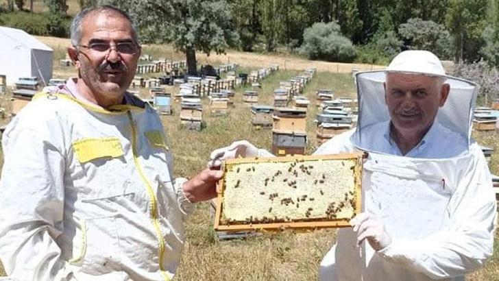 Binali Yıldırım, baba ocağı Erzincan'da bal hasadı yaptı