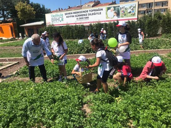 Yedikule Bahçe'de çocuklar, ektikleri meyve ve sebzelerin hasadını yaptı