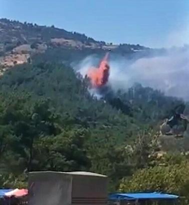 Havran'da orman yangını büyümeden söndürüldü
