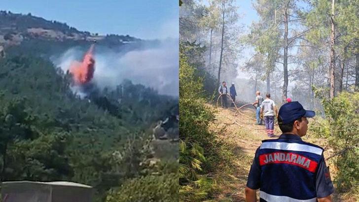 Havran'da orman yangını büyümeden söndürüldü