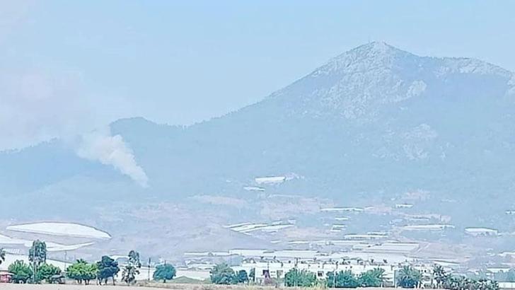Mersin'de orman yangını