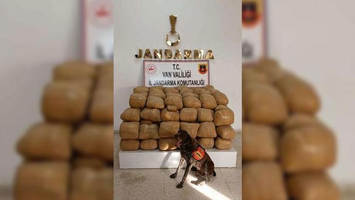 Bakan Soylu: Van'da 700 kilo toz esrar ele geçirildi