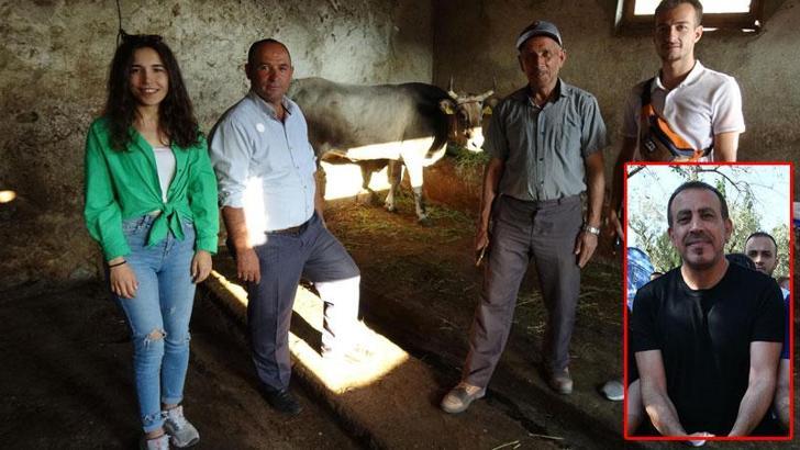 Ahbap, kesimden kaçıp 25 gün sonra yakalanan kurbanlığı satın aldı