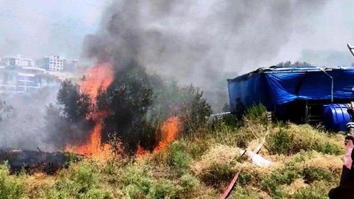 Kuşadası'nda zeytinlikte çıkan yangın, ormana sıçramadan söndürüldü