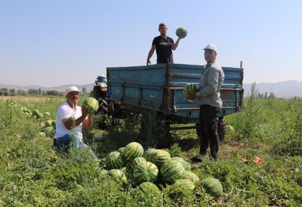 Turizmi bıraktı, kavun karpuz üretiyor